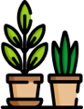 Plantas en la oficina