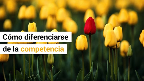 3 ideas para diferenciarse de la competencia
