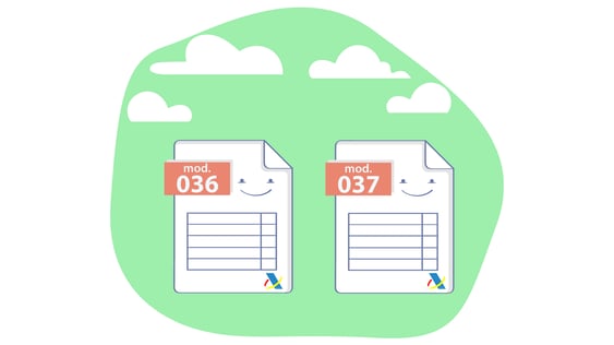 ¿Qué es el modelo 036 y en qué se diferencia del modelo 037?