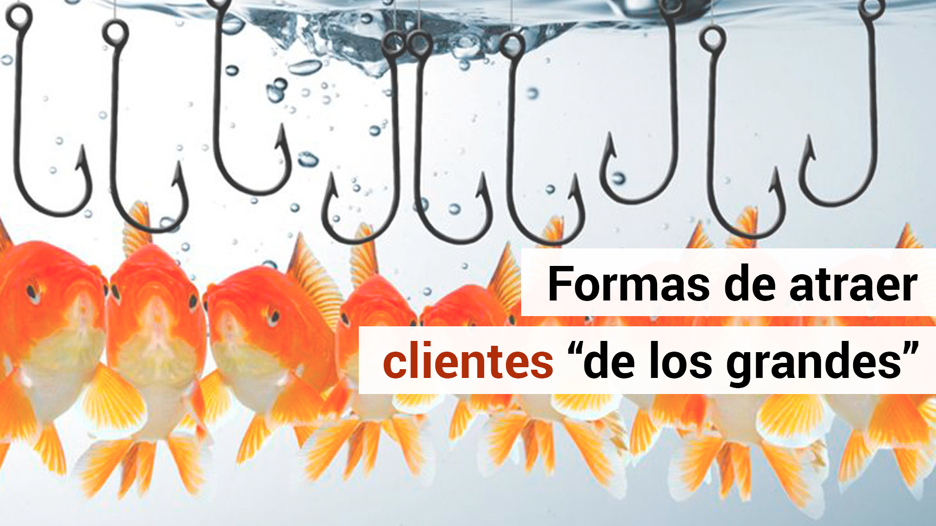 6 consejos para captar grandes clientes