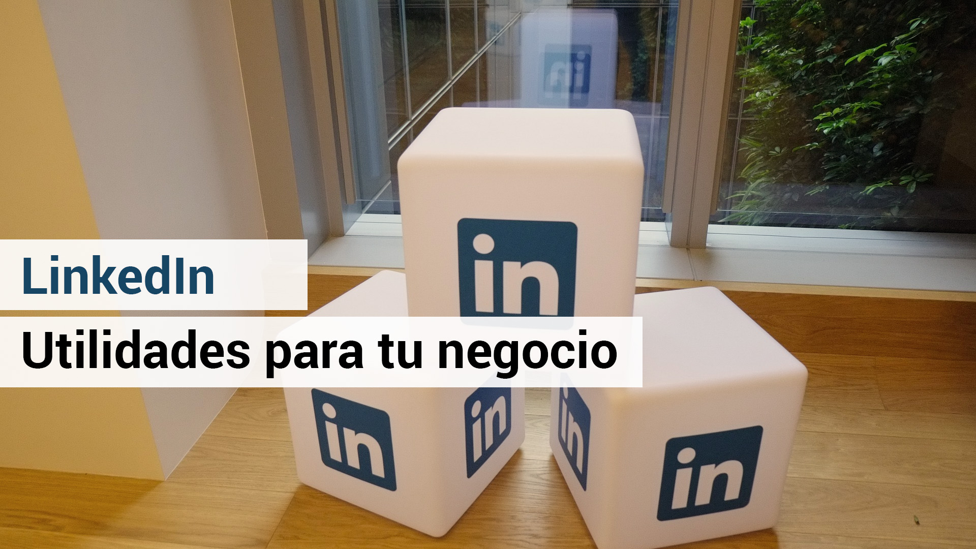 3 formas de promocionar tu negocio en LinkedIn