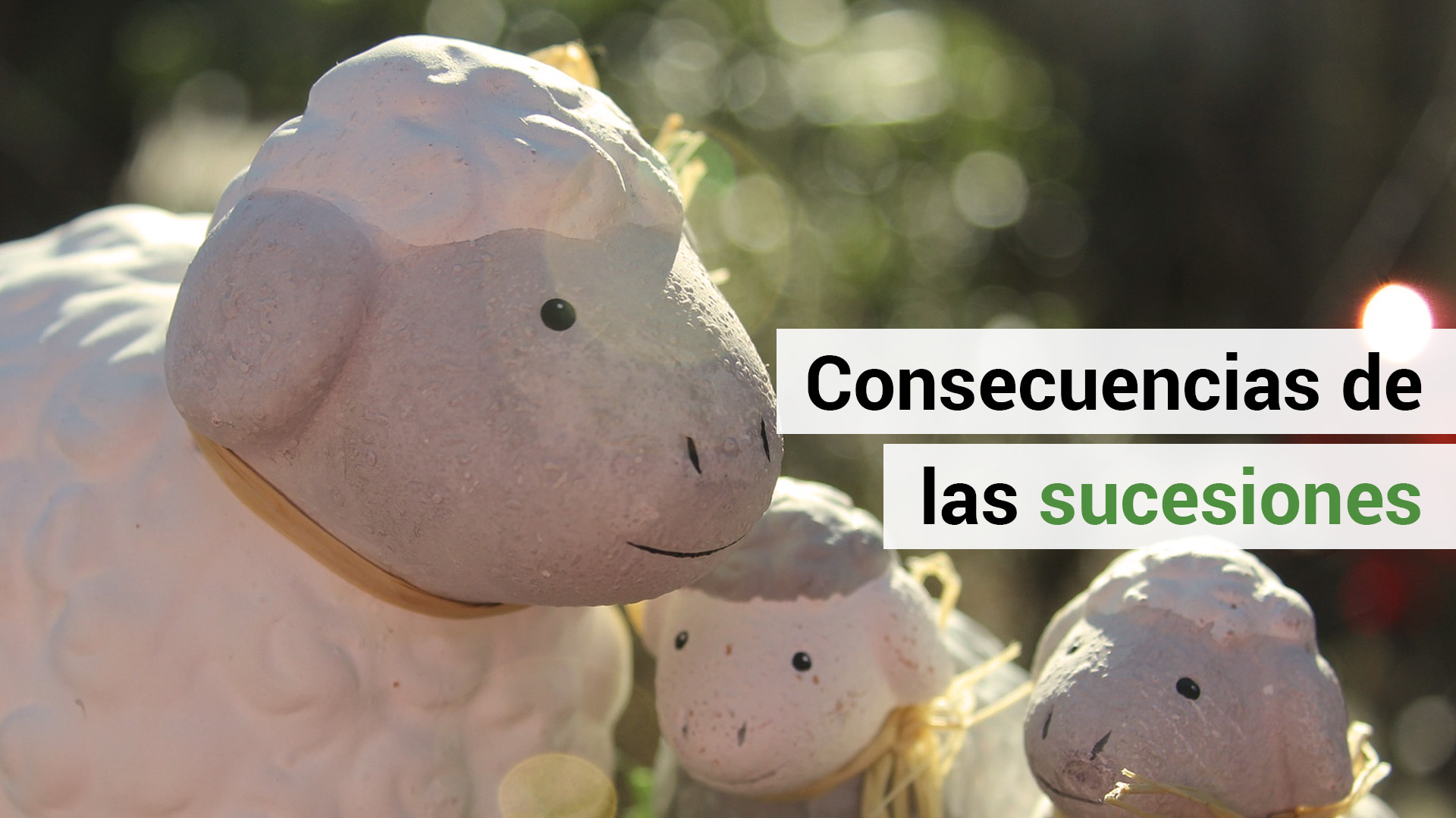 ¿Conoces las consecuencias de la sucesión de empresas?