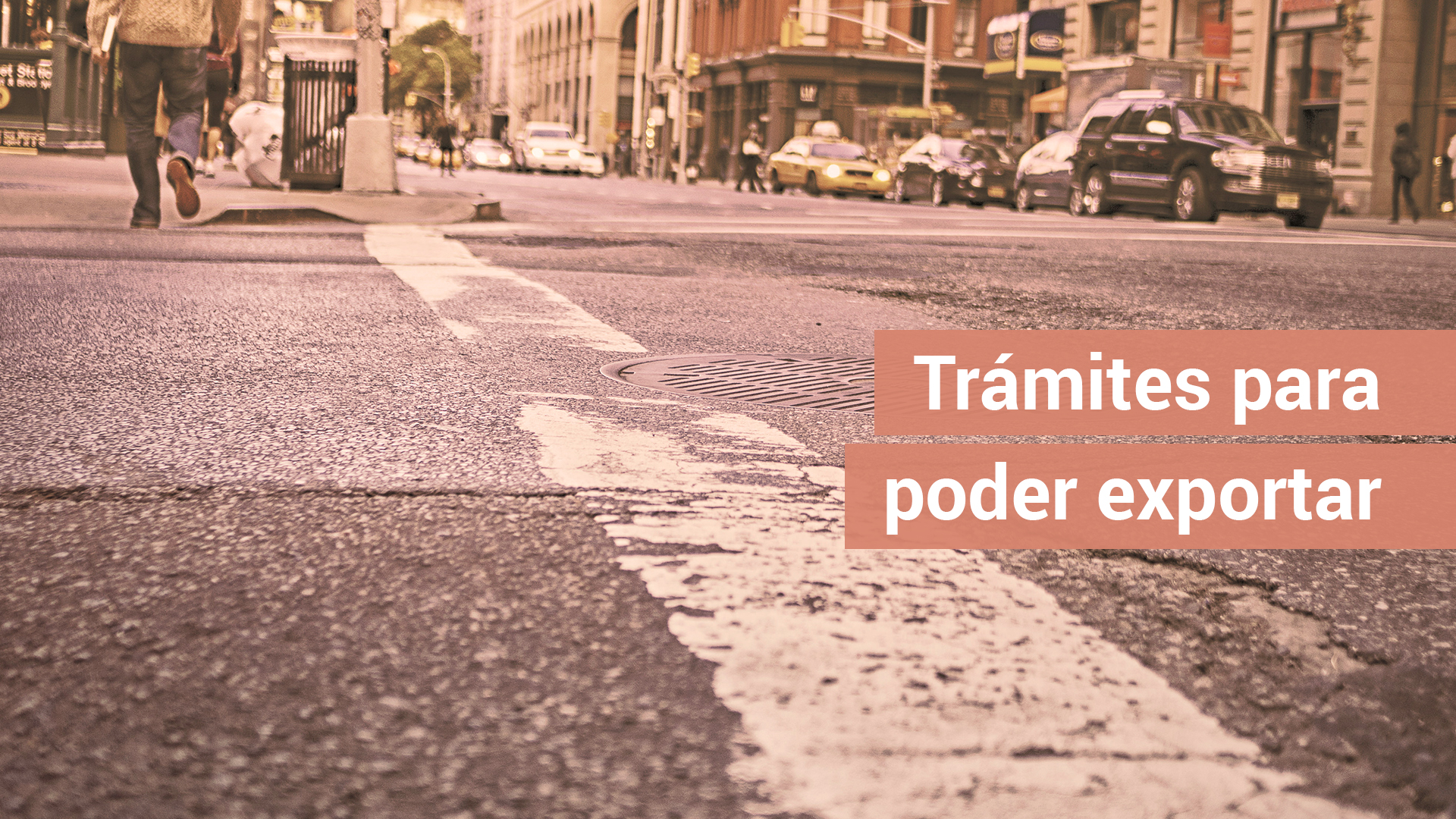 ¿Qué trámites debo hacer para exportar?